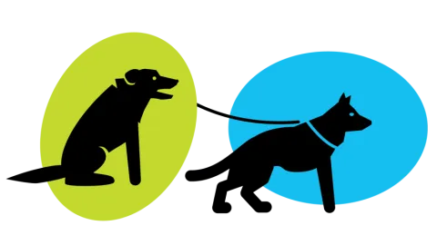 Dogs Safety Graphic
