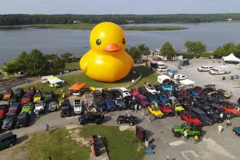 A giant inflatable duck sits along the edge of a lake.