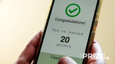Rewards programs