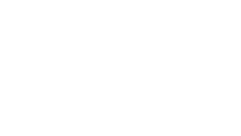 Leisure Pioneers