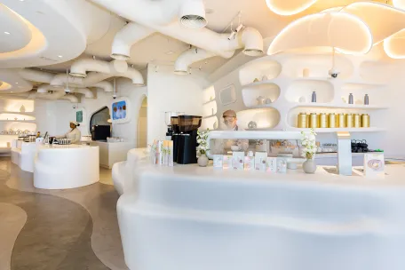 F&B TeamLab Abudhabi Phenomena Anko