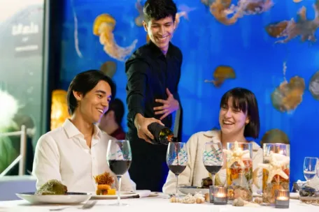 Vancouver Aquarium Night at the Aquarium