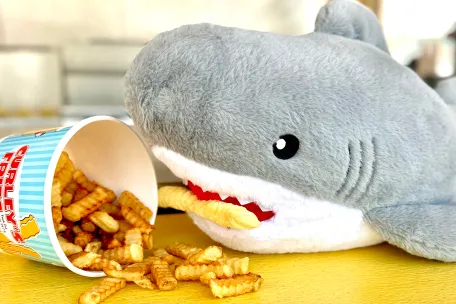 Moreys Piers Bruce GW Shark