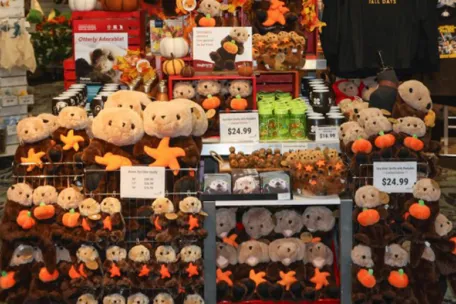 Vancouver Aquarium Otterly Adorable Display