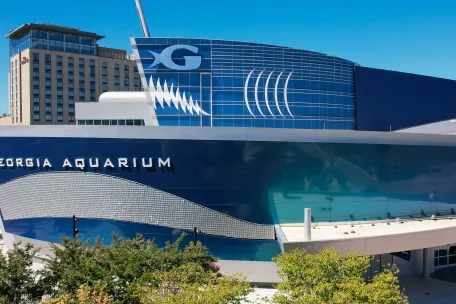 Ocean Lights featuring Glow Sync Air