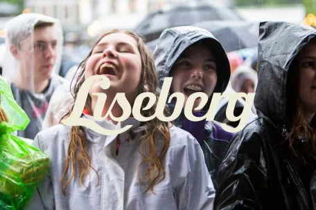 Liseberg The Weather Game