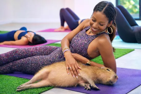 Baby Capybara Yoga Jungle Island