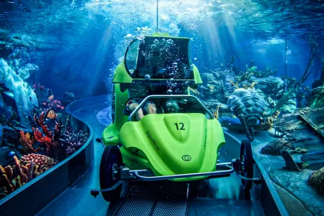 Sub Sea Systems Aquaticar