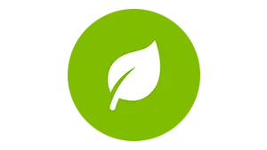 Green Leaf Icon